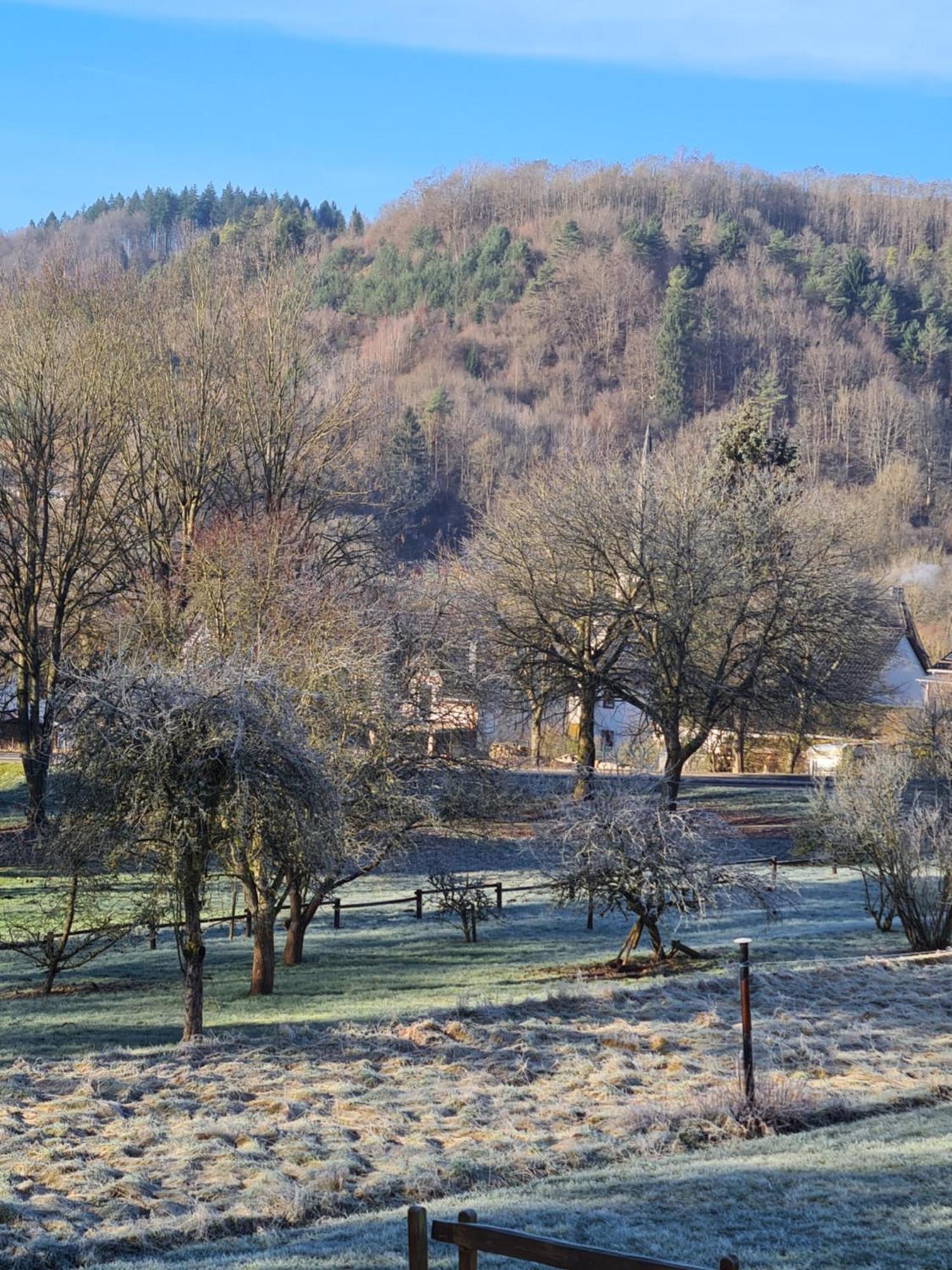 Ferienwohnung Burgblick Pelm Екстер'єр фото